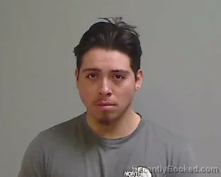 Mugshot of CARLOS FERNANDO BRISENO