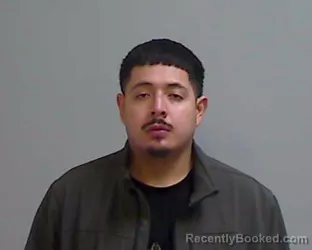 Mugshot of RAMIRO ROEL VELIZ