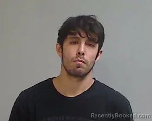 Mugshot of HECTOR DAVID FLORES