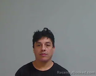 Mugshot of LUIS ANGEL YANEZ