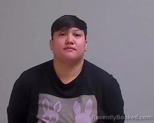 Mugshot of BRIZA YVETTE SALINAS