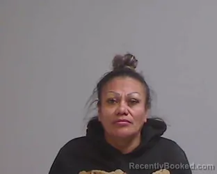 Mugshot of ERMILA MARTINEZ MARES