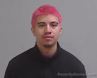 Mugshot of JOSE JOEL SOLIS
