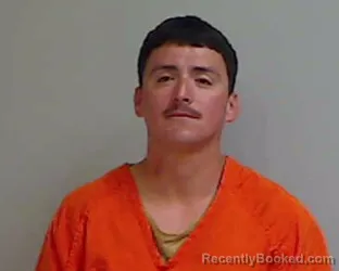 Mugshot of LUIS ALEJANDRO PEREZ