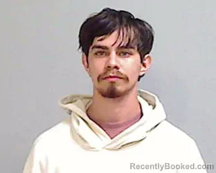 Mugshot of WILLIAM LUTHER PULIDO