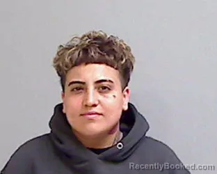 Mugshot of ANDREA PEREZ