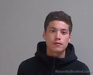 Mugshot of LELAND BRUNO