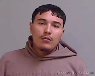 Mugshot of ELIAN DELEON