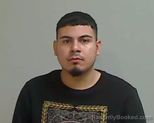 Mugshot of LUIS EDUARDO HERNANDEZ