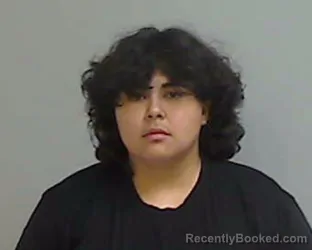 Mugshot of BRISEIDE GUADALUPE PEREZ