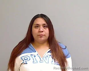 Mugshot of BRENDA BERENIZE VILLEGAS