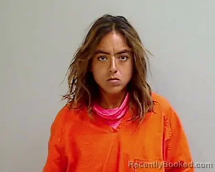Mugshot of JESENIA YAJAIRA VILLARREAL
