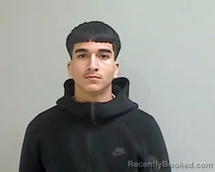 Mugshot of ELIAS MEJORADO