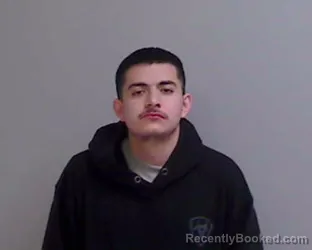 Mugshot of APOLONIO HINOJOSA