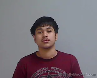 Mugshot of FERNANDO TREVINO