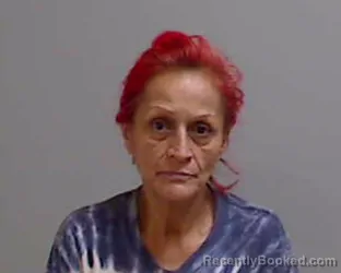 Mugshot of CRISTINA JOSEFINA HERNANDEZ