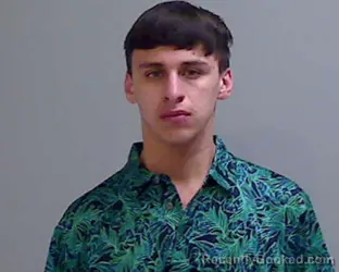 Mugshot of JOEL MARTINEZ