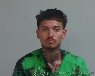 Mugshot of Domingo Alexis Reyna