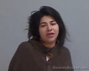 Mugshot of BRIANA NICOLE MORENO