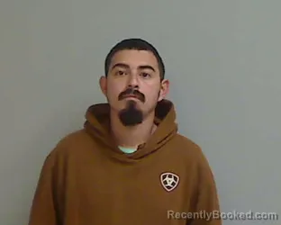 Mugshot of GERMAN FERNANDEZ