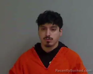 Mugshot of OSMAR ALANIS
