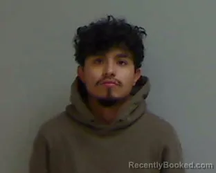 Mugshot of NOE FLORES
