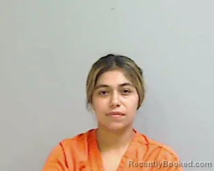 Mugshot of CYNTHIA LEAL