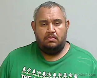 Mugshot of JOSHUA ELIAS TORRES