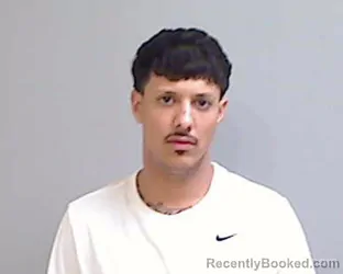 Mugshot of ALEJANDRO ALANIZ