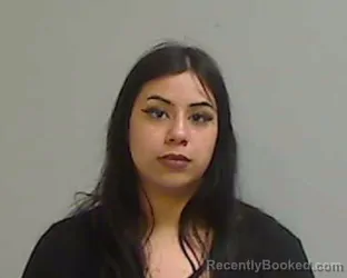 Mugshot of LESLIE ANDREA ORTIZ