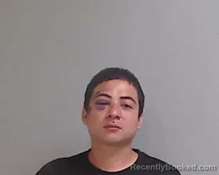 Mugshot of BRIAN LEE SIERRA