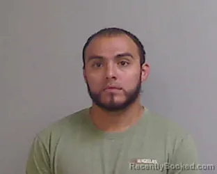 Mugshot of Guadalupe Castillo