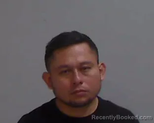 Mugshot of GUADALUPE CASTAN