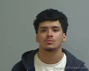 Mugshot of HECTOR FLORES booked in Hidalgo County, Texas on March 28, 2026