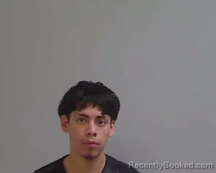 Mugshot of RAUL SERGIO HERRERA BRIONES booked in Hidalgo County, Texas on March 29, 2026