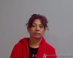 Mugshot of MARIA SANTANA booked in Hidalgo County, Texas on April 1, 2026