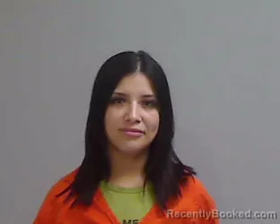 Mugshot of ANA VEGA booked in Hidalgo County, Texas on April 1, 2026