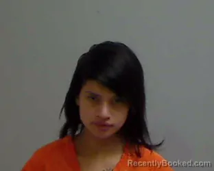 Mugshot of LYNN AIMEE CHAVEZ booked in Hidalgo County, Texas on April 17, 2026