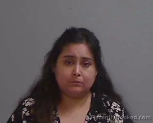 Mugshot of MELISSA LILLY NAVARRO KASHANCHI booked in Hidalgo County, Texas on April 17, 2026