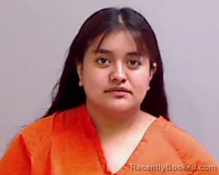 Mugshot of BRIANNA GONZALEZ booked in Hidalgo County, Texas on April 17, 2026