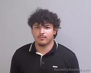 Mugshot of MARIO ALEJANDRO SALINAS booked in Hidalgo County, Texas on April 18, 2026