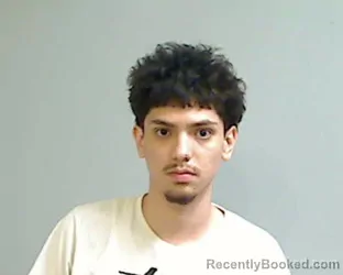 Mugshot of DAMIAN GALLEGOS booked in Hidalgo County, Texas on April 19, 2026