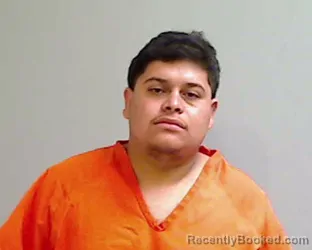 Mugshot of EULISE TORRES booked in Hidalgo County, Texas on April 19, 2026