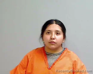Mugshot of LEILANI MILDRED PEREZ booked in Hidalgo County, Texas on April 19, 2026