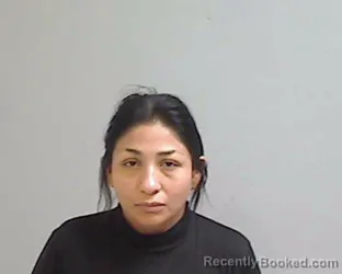 Mugshot of KARINA EDITH GOMEZ booked in Hidalgo County, Texas on April 20, 2026