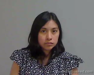 Mugshot of AMI ANNETTE AVALOS booked in Hidalgo County, Texas on April 21, 2026