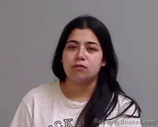 Mugshot of DENISE TOBIAS booked in Hidalgo County, Texas on April 22, 2026