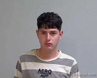 Mugshot of Bryan Alexis Palacios booked in Hidalgo County, Texas on April 22, 2026