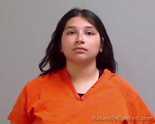 Mugshot of LORIANNA VILLEGAS booked in Hidalgo County, Texas on April 23, 2026