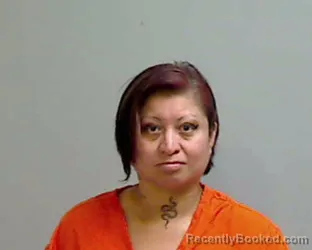 Mugshot of VIVIANA RAMOS booked in Hidalgo County, Texas on April 23, 2026